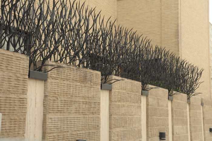 حفاظ شاخ گوزنی دیوار لغاز دیوار لغاز