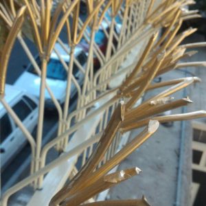 محصول سرنیزه ای مدرن