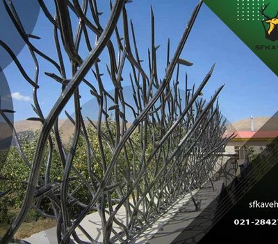 حفاظ روی دیوار بوته ای